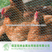 Hexagonal Poultry Fence Chicken Wire Netting